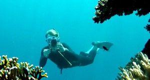 snorkeling and taking photos in the Red Sea