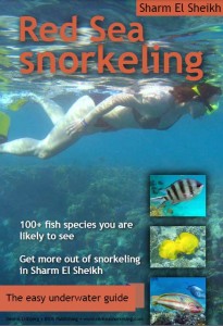 book about snorkeling in the Red Sea