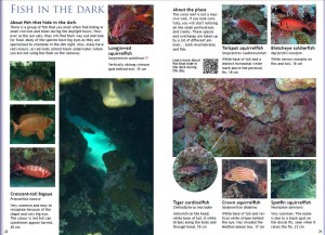 sample pages from the Red Sea snorkeling guide book