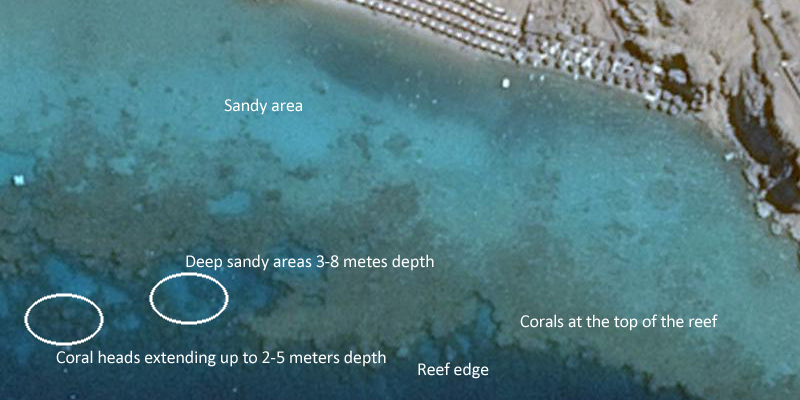 how to see the corals from the satellite images in the Red Sea