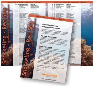 get the free checklist of the 115 most common fish species in the Red Sea