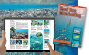 ebook on the most common fish species in the Red Sea