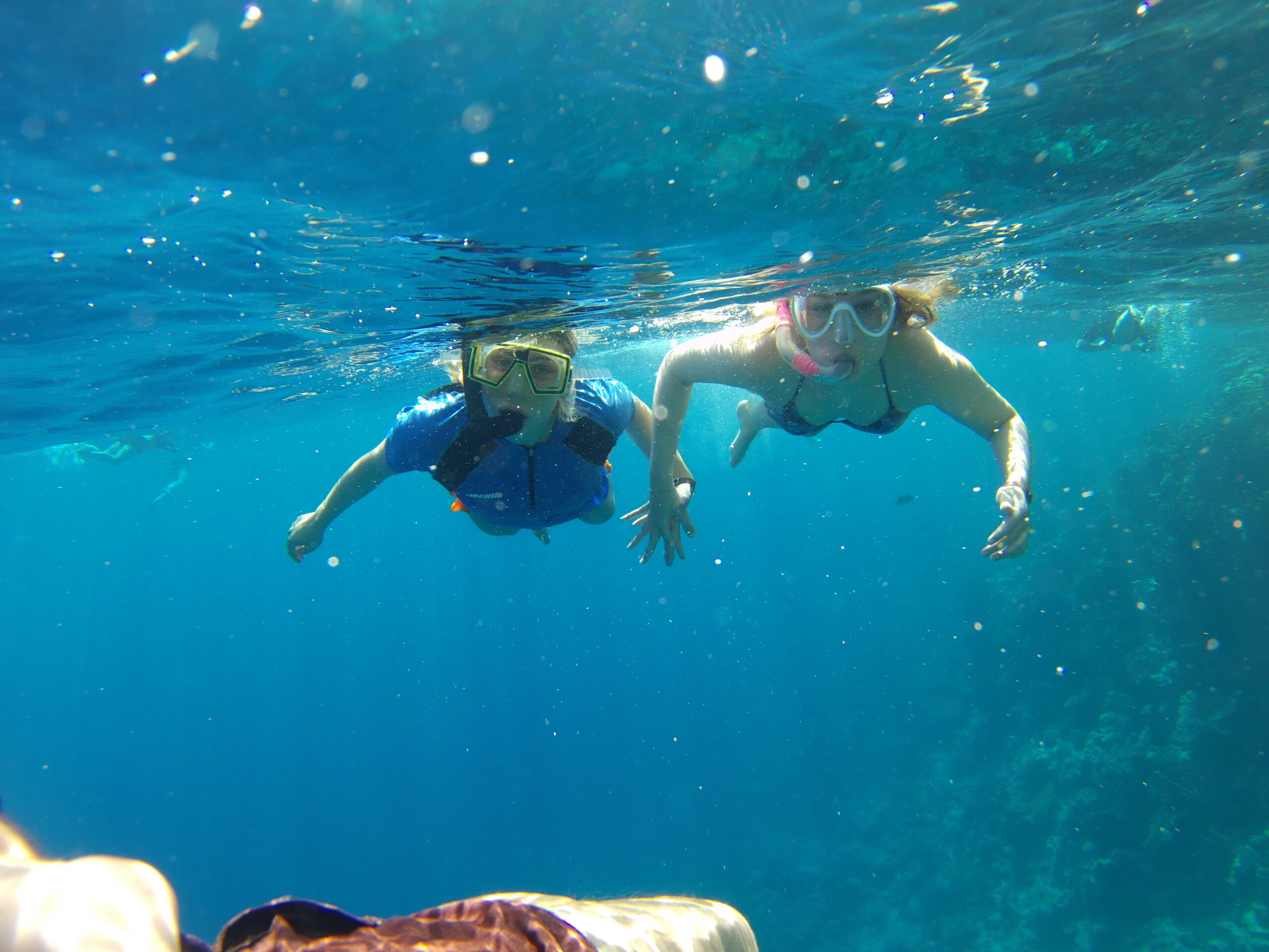 Snorkelling: First time in the water