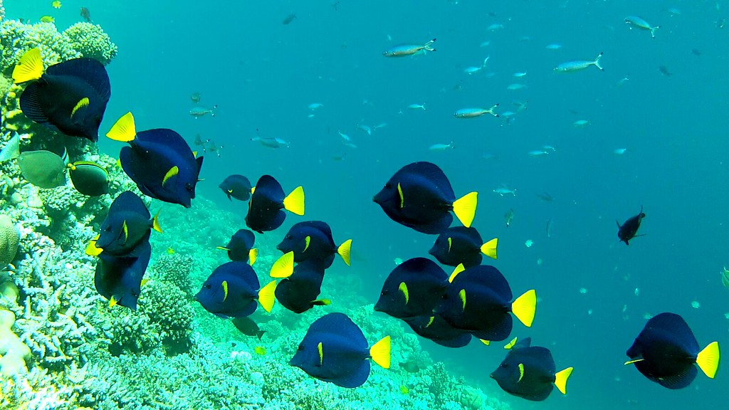 Weather, wind and waves in Hurghada